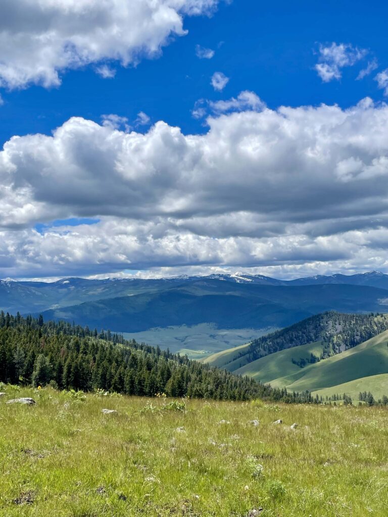 bison range road montana