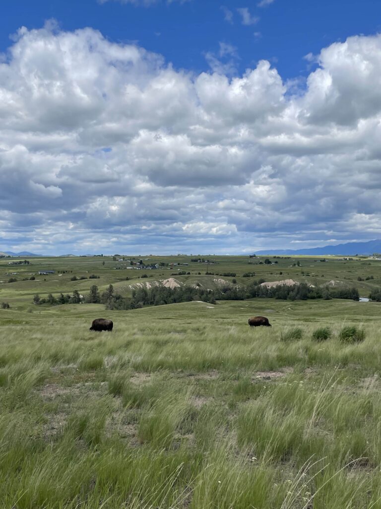 bison range road montana